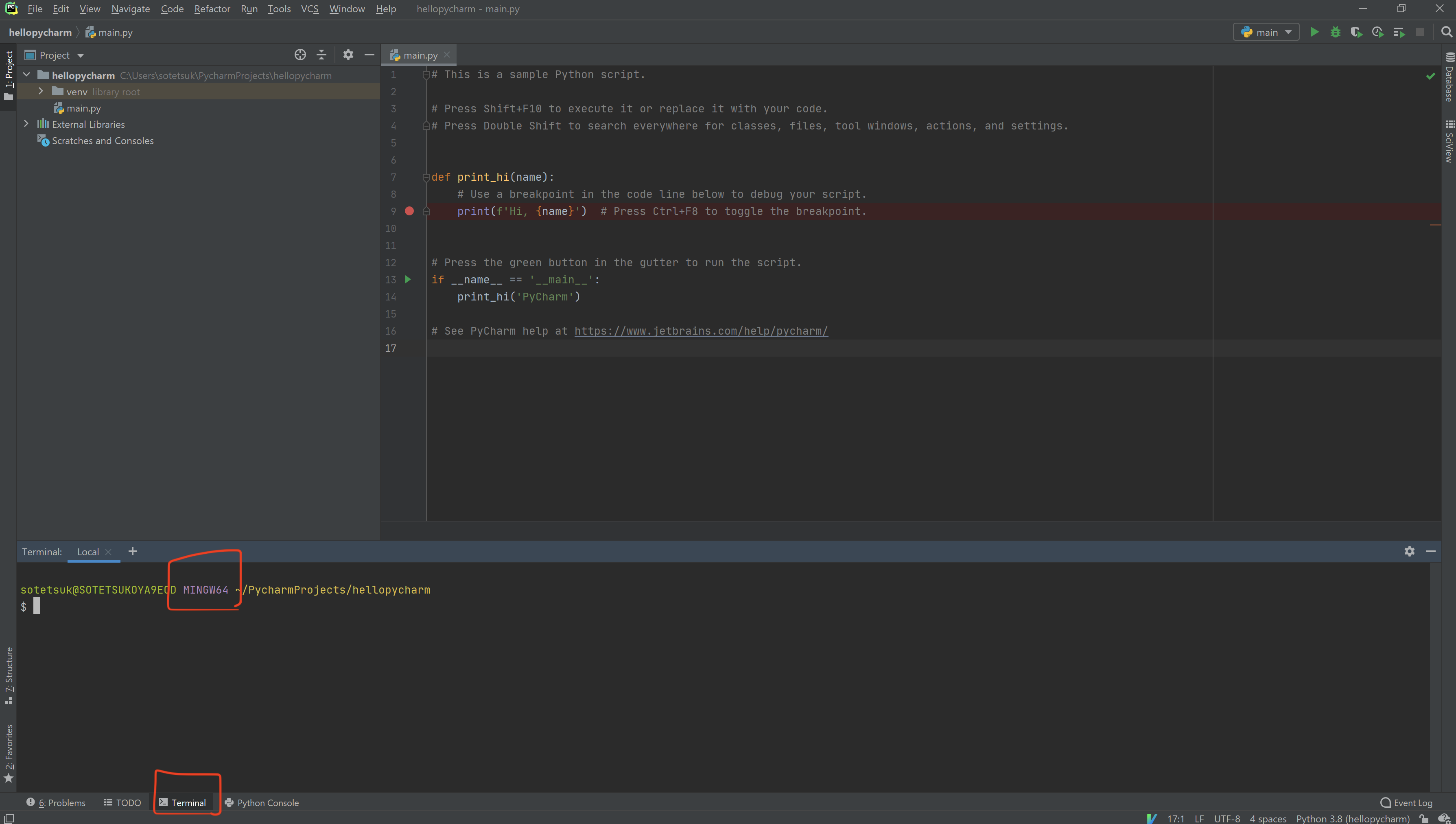 run-git-bash